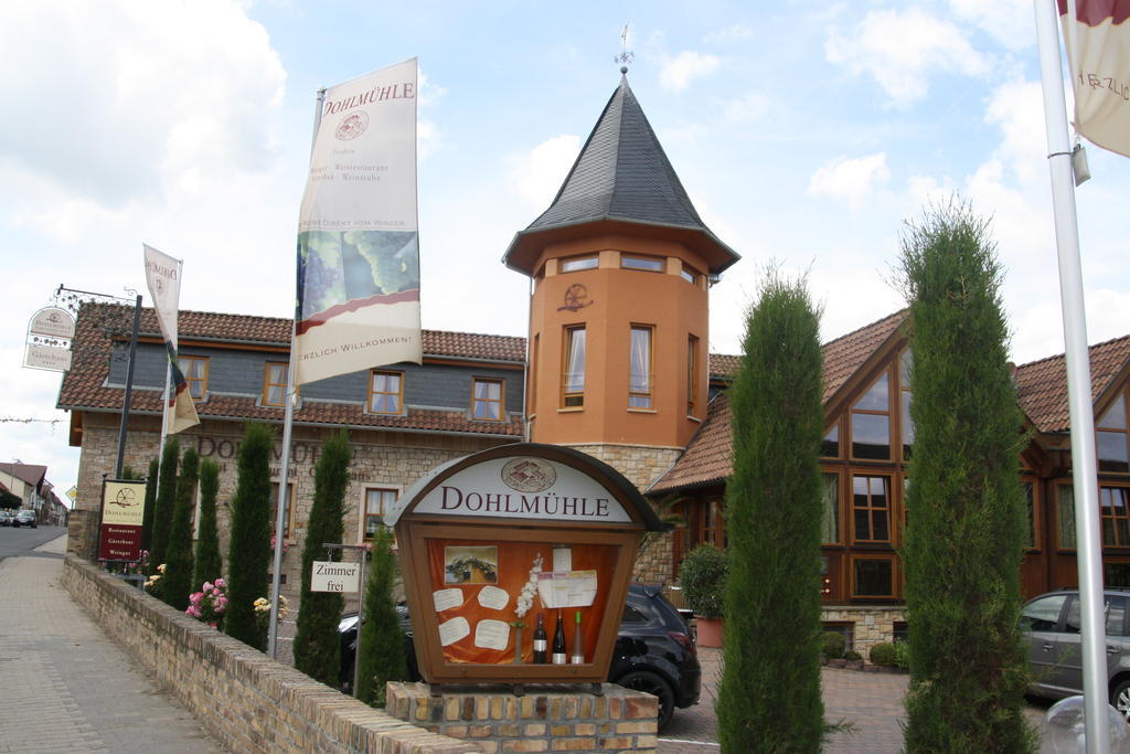 Dohlmuehle Hotel & Weingut Flonheim Extérieur photo